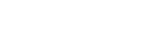 Naveentlightlogo
